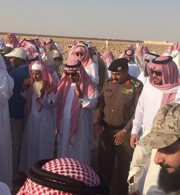 بالفيديو والصور.. 