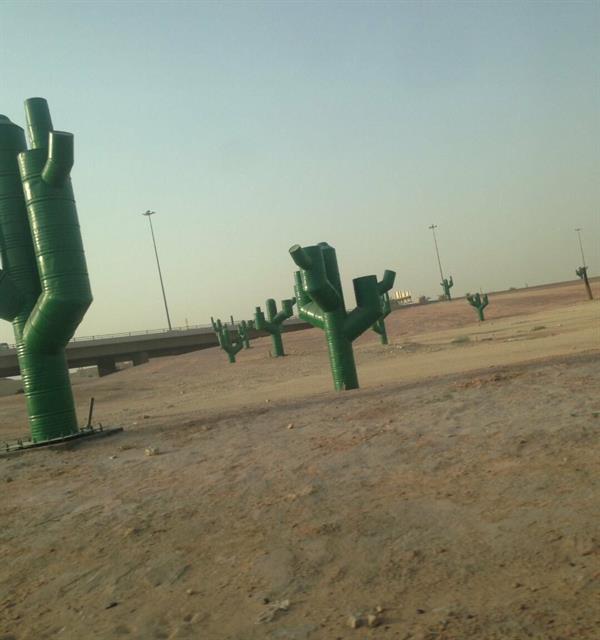 بعد صور متداولة وانتقاد عضو 