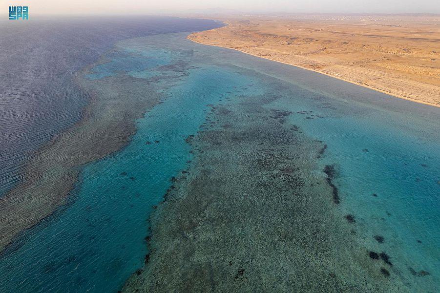 شاطئ الهرابة