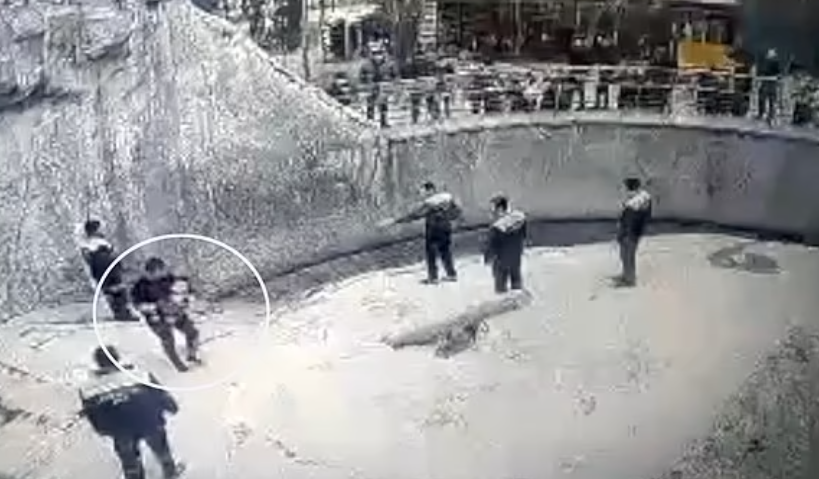 امرأة تلقي بطفلتها ذات الـ3 أعوام داخل حظيرة للدببة في حديقة حيوان بأوزبكستان