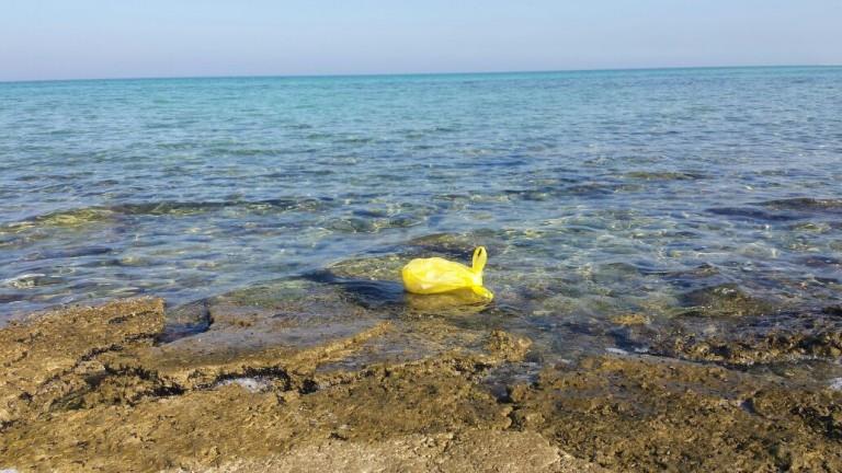 بالصور.. أسرة تستعين بحرس الحدود للتخلص من 