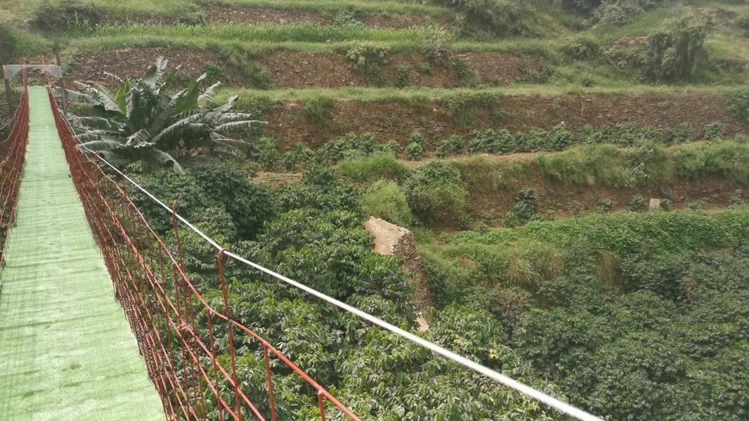 جسر مُعلق بجازان