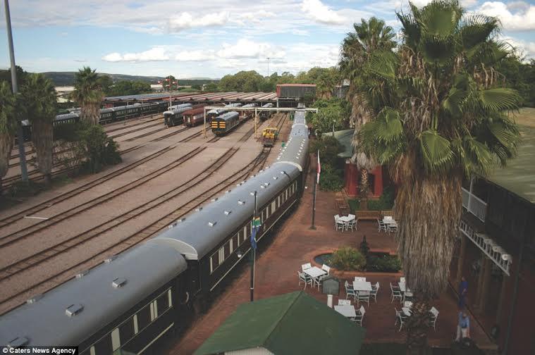 قطار فاخر يقدم رحلات سفاري