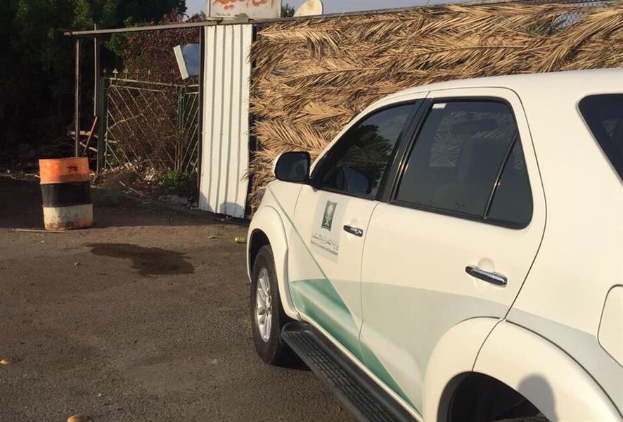 بعد بلاغ مواطن.. بعد بلاغ مواطن..