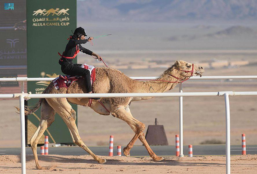 تحت رعاية سمو ولي العهد.. انطلاق منافسات كأس العلا للهجن تحت رعاية سمو ولي العهد.. انطلاق منافسات كأس العلا للهجن