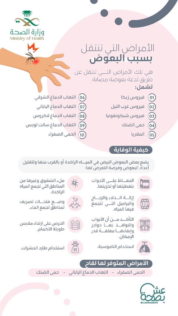 لدغات البعوض تنقل 10 أمراض للإنسان .. تعرّف على كيفية الوقاية منها واللقاحات المتوفرة لها