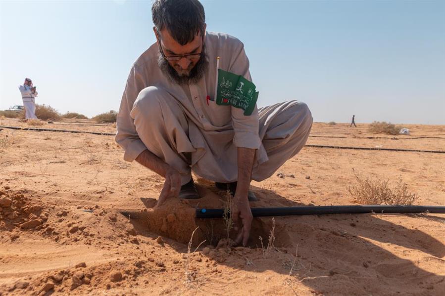 باكستانيون يشاركون في زراعة ألفي شجرة بمتنزه القصيم