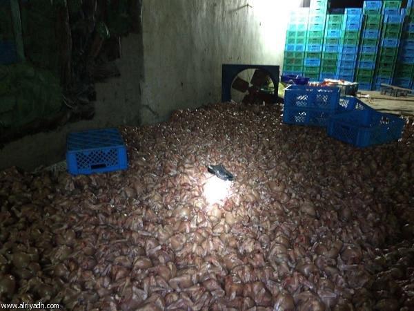 «شرطة جـدة» تضبط مخالفين و«5000» دجاجة فاسـدة