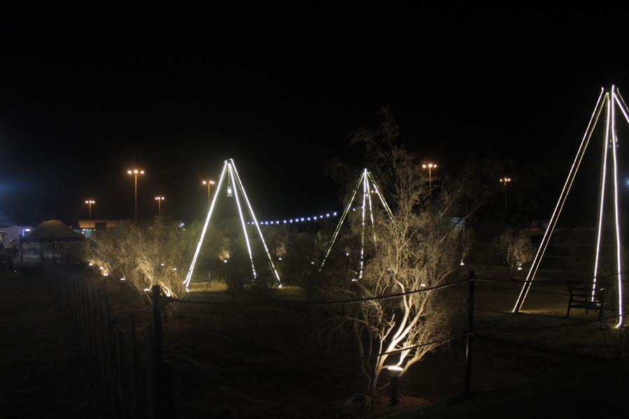 الغضا الغضا