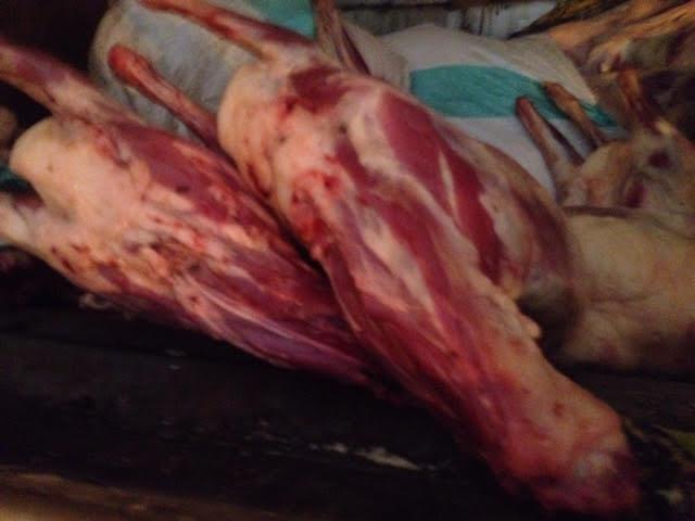 بالصور.. ضبط سيارة محملة باللحوم المتعفنة قبل توزيعها بـ