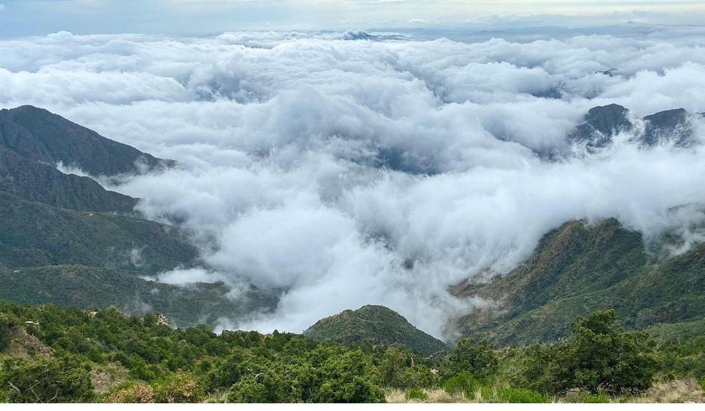 جنوب المملكة