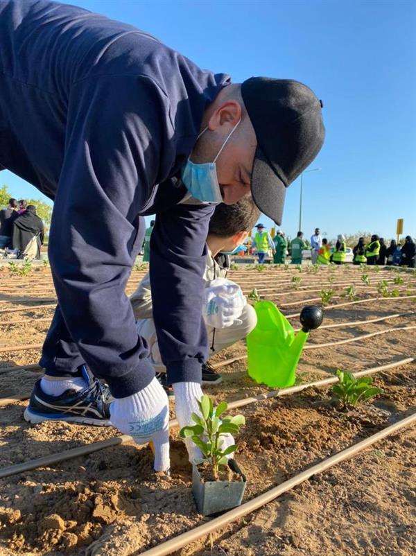 الهيئة الملكية بينبع تدشن مبادرة "واجهتنا خضراء".. والسكان يتفاعلون (صور) 