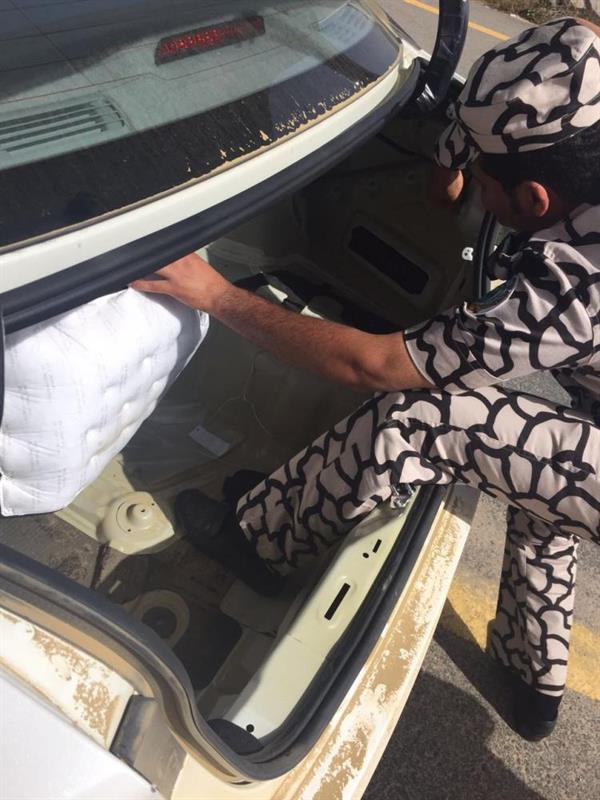 بالصور.. بالصور..