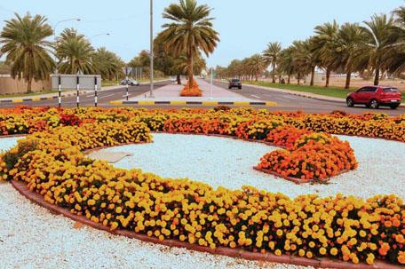 العين تتكحل بمليوني زهرة