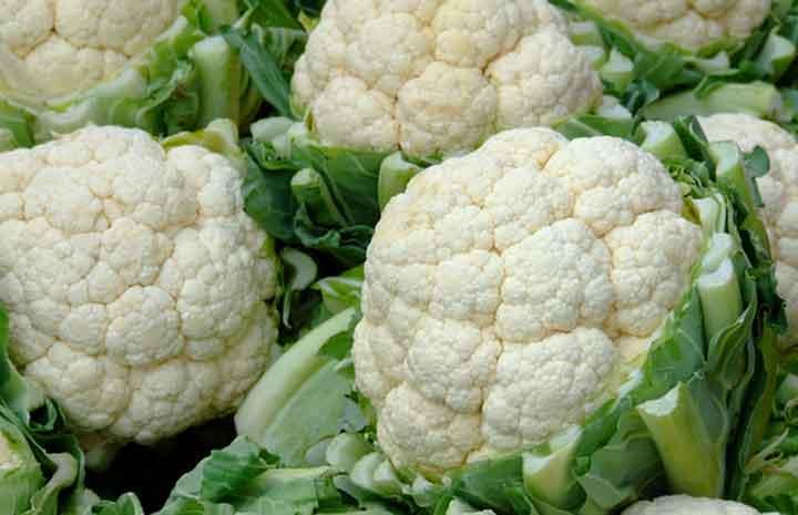 لحماية كليتيك.. احرص على تناول هذه الأطعمة لفوائدها المذهلة لحماية كليتيك.. احرص على تناول هذه الأطعمة لفوائدها المذهلة