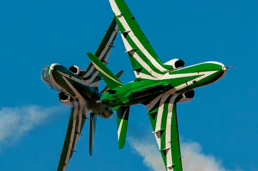 الصقور السعودية