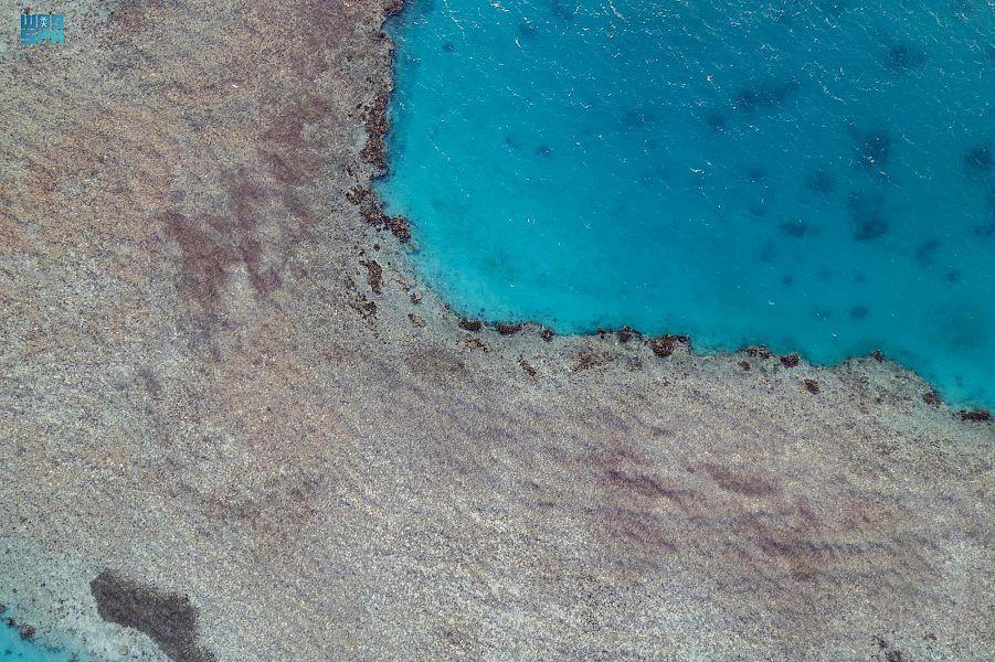 شاطئ الهرابة