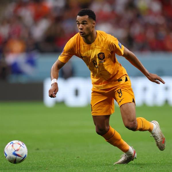 الاخضر الاخضر