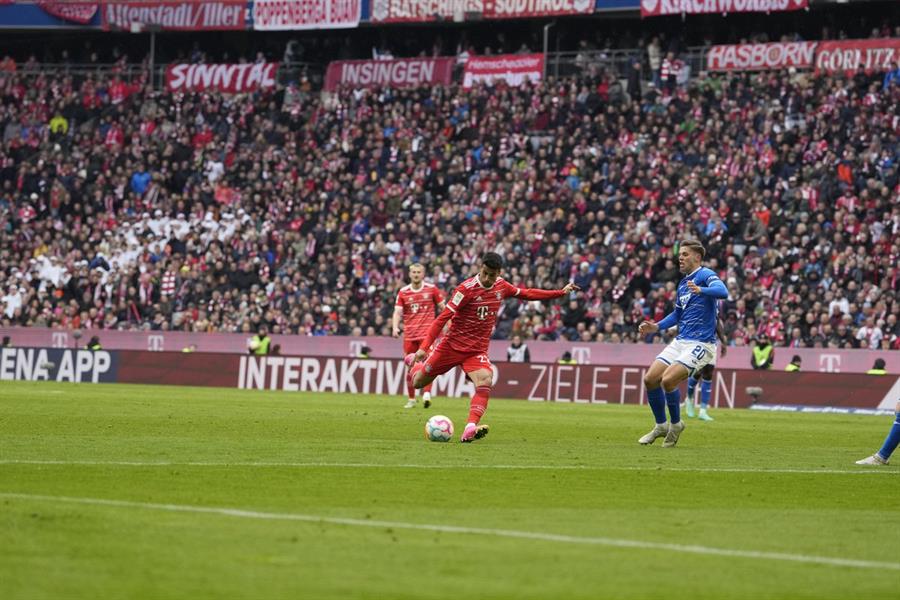 بايرن ميونخ وهوفنهايم 