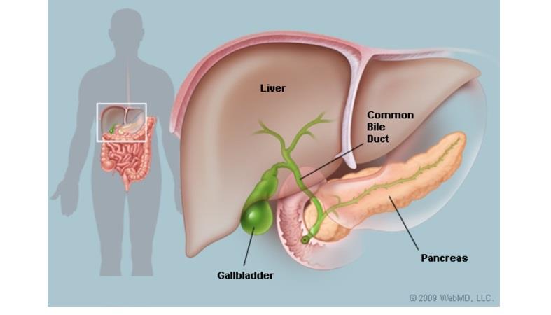 عوامل تزيد من الإصابة