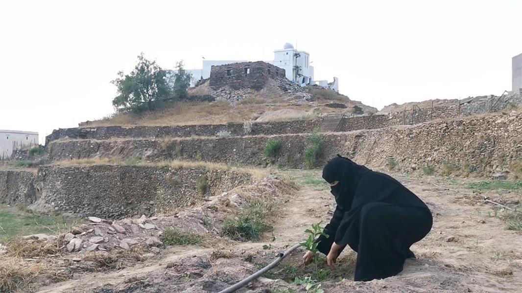 سيدة سعودية تدير "نزلاً" ريفياً بجازان.. وتتحدث عن خطتها المستقبلية 