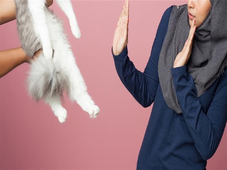  فوبيا الحيوانات