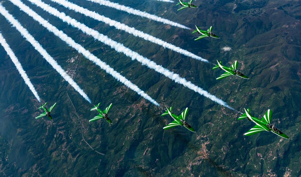 الصقور السعودية يشارك في احتفالات القوات المسلحة بفرنسا