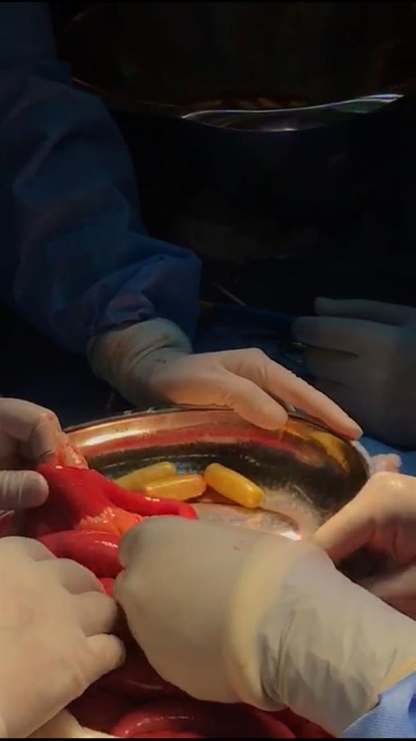 الصورة الصورة