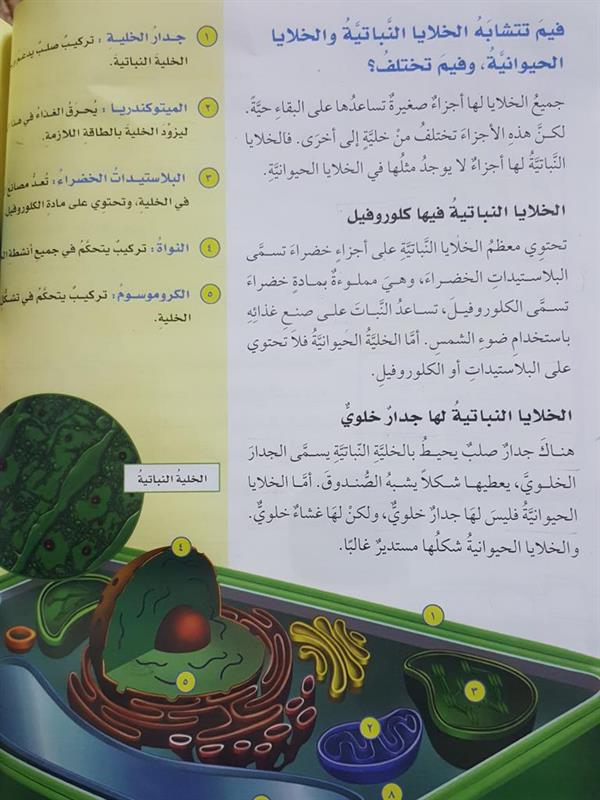 الصور