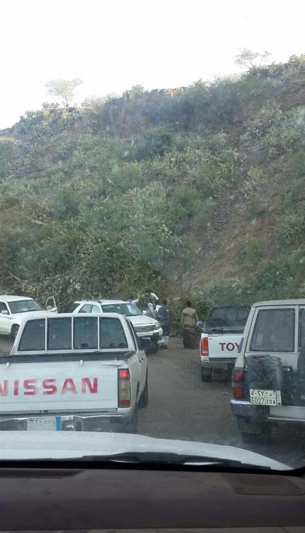 الصور الصور