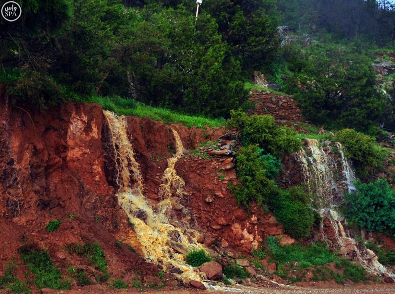جمال الطبيعة تظهره أمطار الباحة
