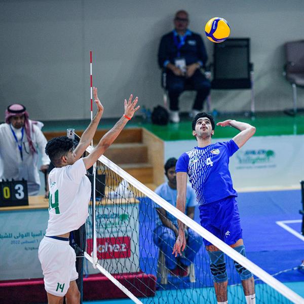 أخضر الطائرة