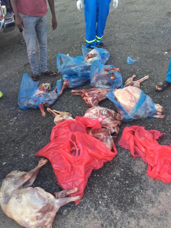 أمانة جدة تضبط ٢٩ سيارة مخالفة وتُحبط تهريب ٢٧٦ ذبيحة فاسدة في ثاني أيام عيد الأضحى