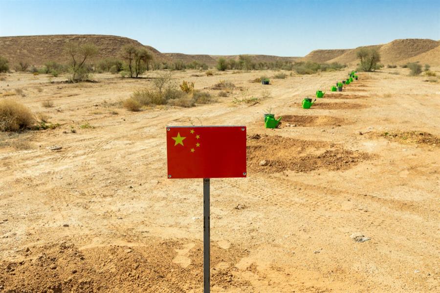 السفير الصيني يدعم مبادرة "السعودية الخضراء" بالمشاركة في حملة التشجير بحريملاء 