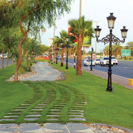 العين تتكحل بمليوني زهرة