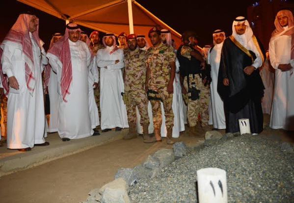 الصور الصور