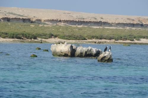 جزيرة جبل الليث
