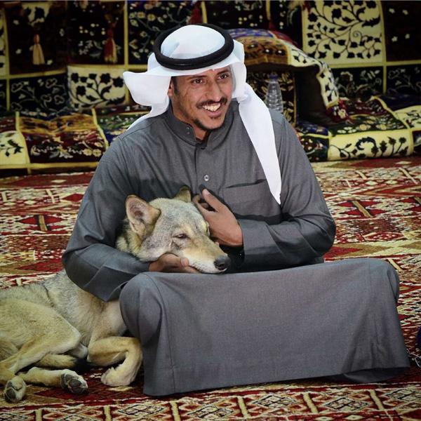 لديه 18 ذئبًا.. 