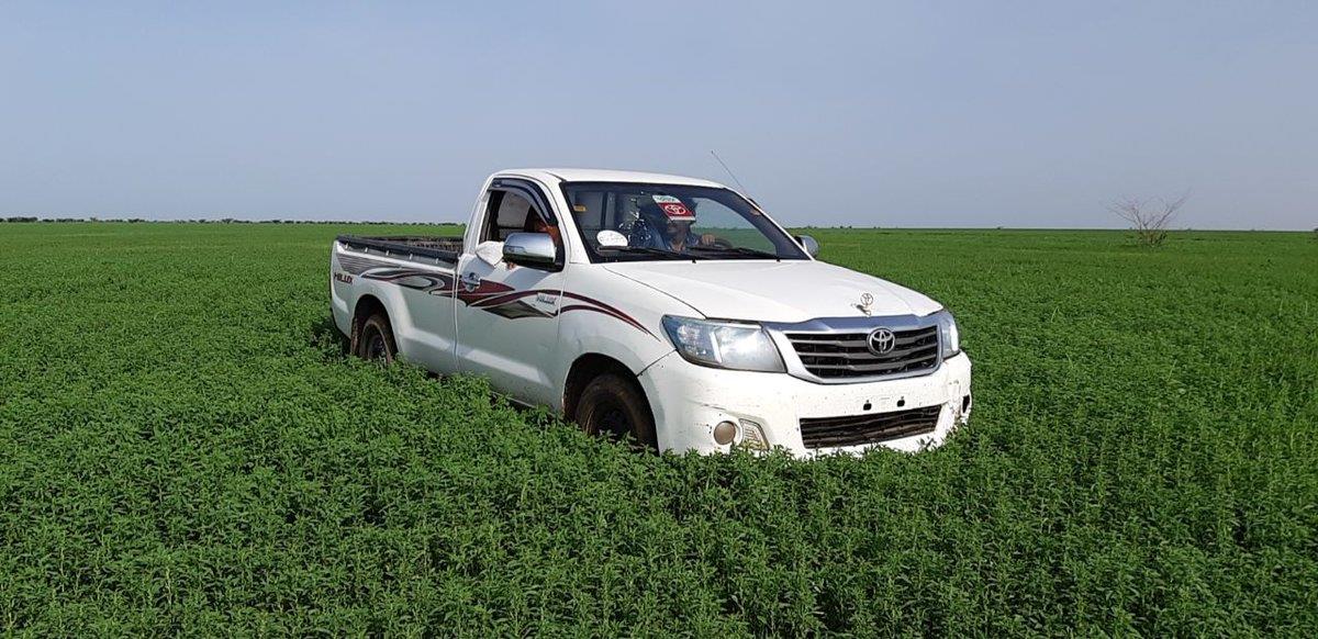 بادية الرشايدة بادية الرشايدة
