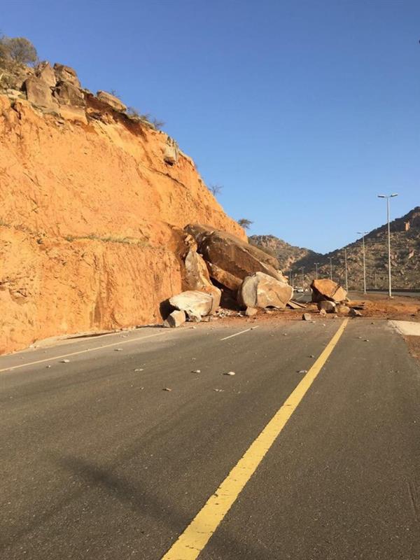 الصورة الصورة