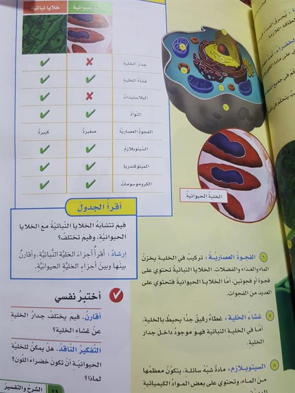 الصور