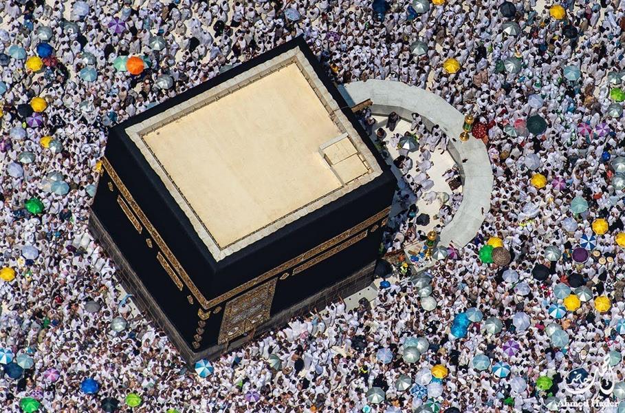 الحجاج الحجاج