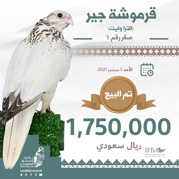 محطماً الأرقام القياسية.. بيع صقر في المزاد الدولي بقيمة 1.750 مليون ريال