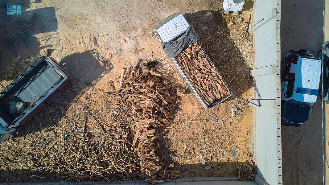 الحطب المحلي