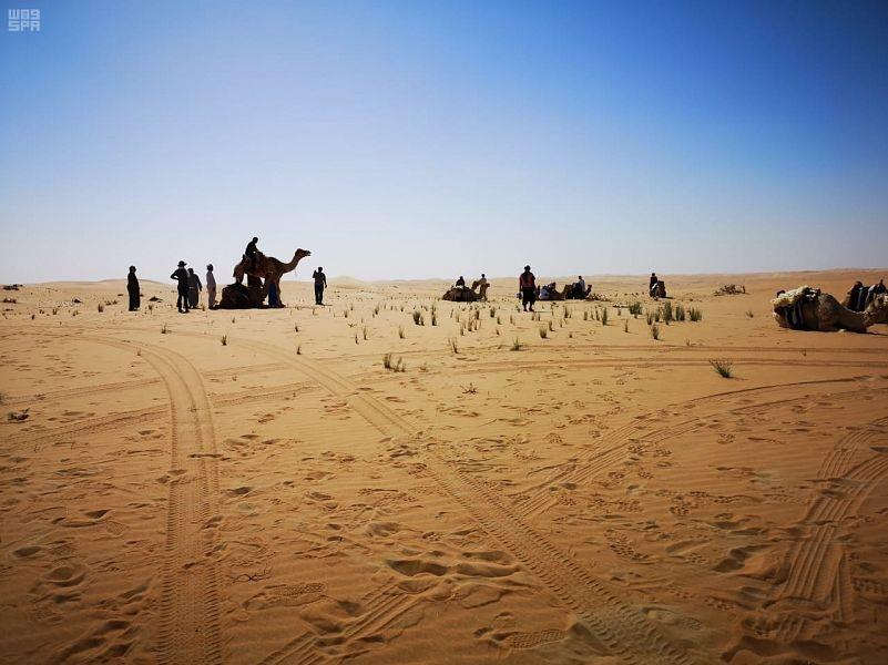 صورة