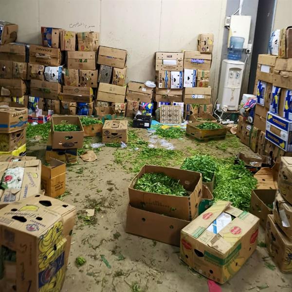 خضروات مجهولة المصدر بمكة