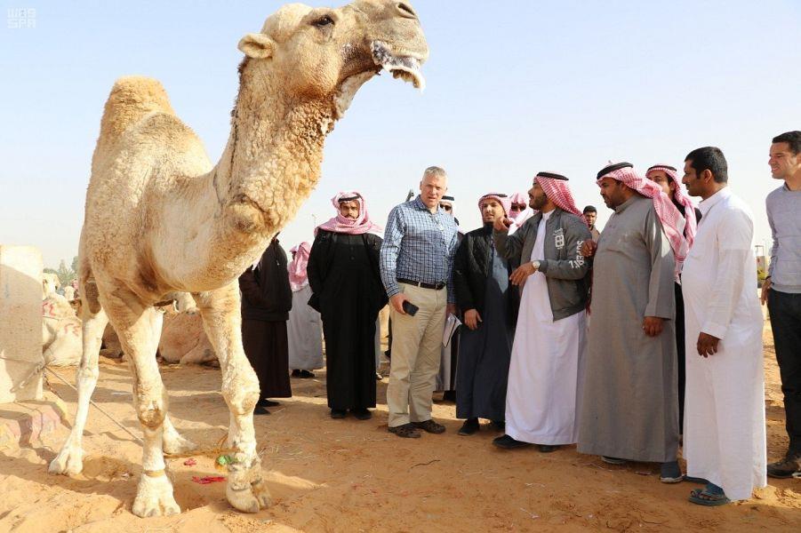 صورة