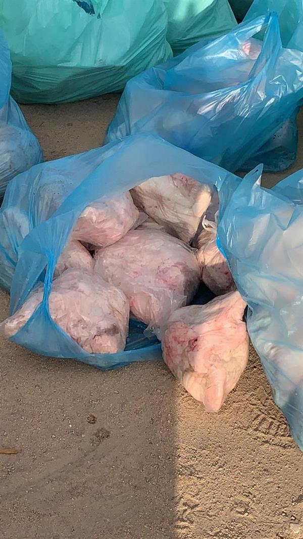 ضبط شاحنة تحمل كميات من اللحوم الفاسدة