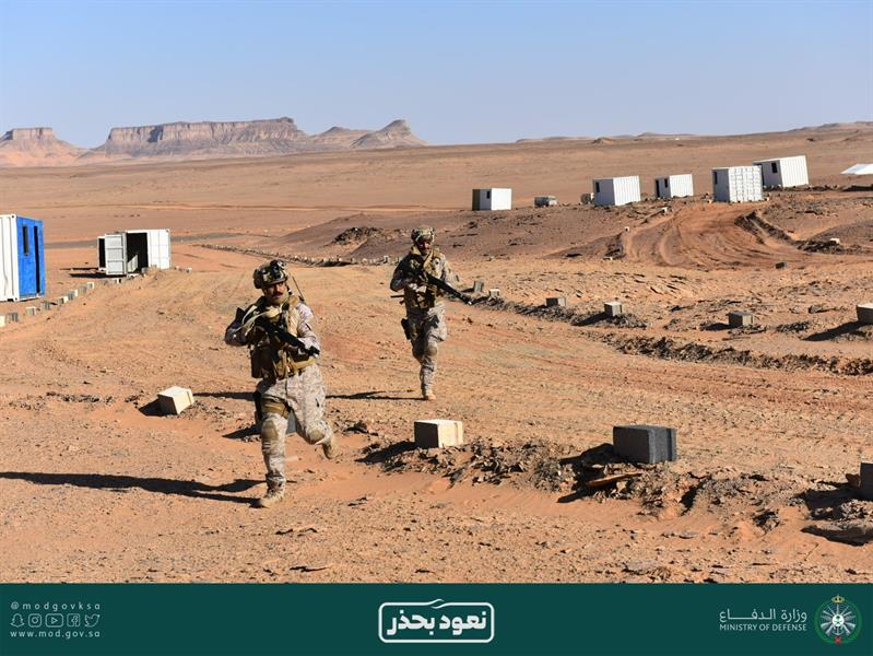 القوات البرية