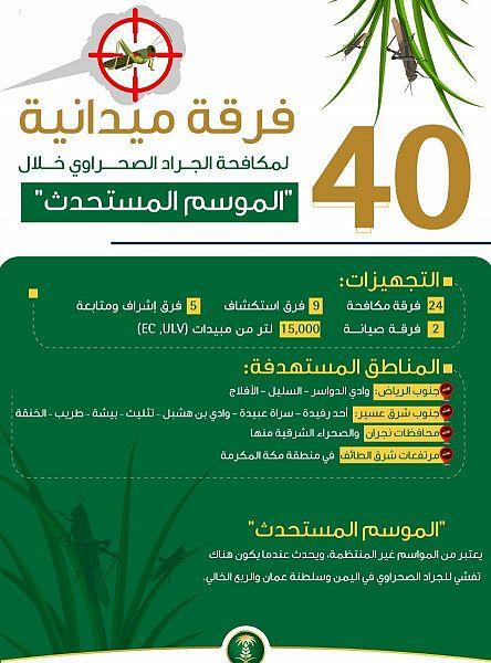 الجراد الصحراوي